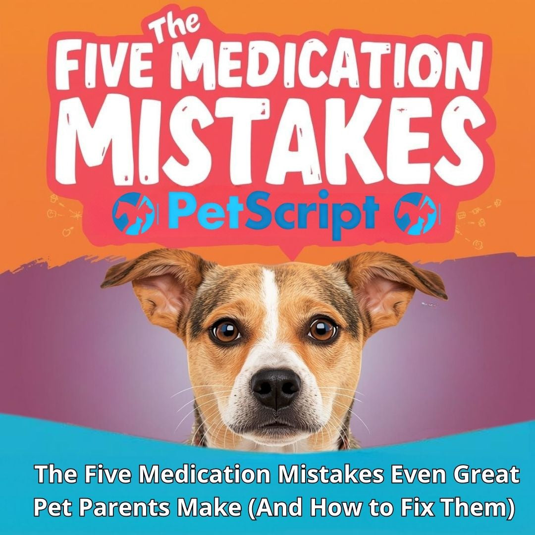 Ffe Medication The Five Medication Mistakes – PetScript Direct