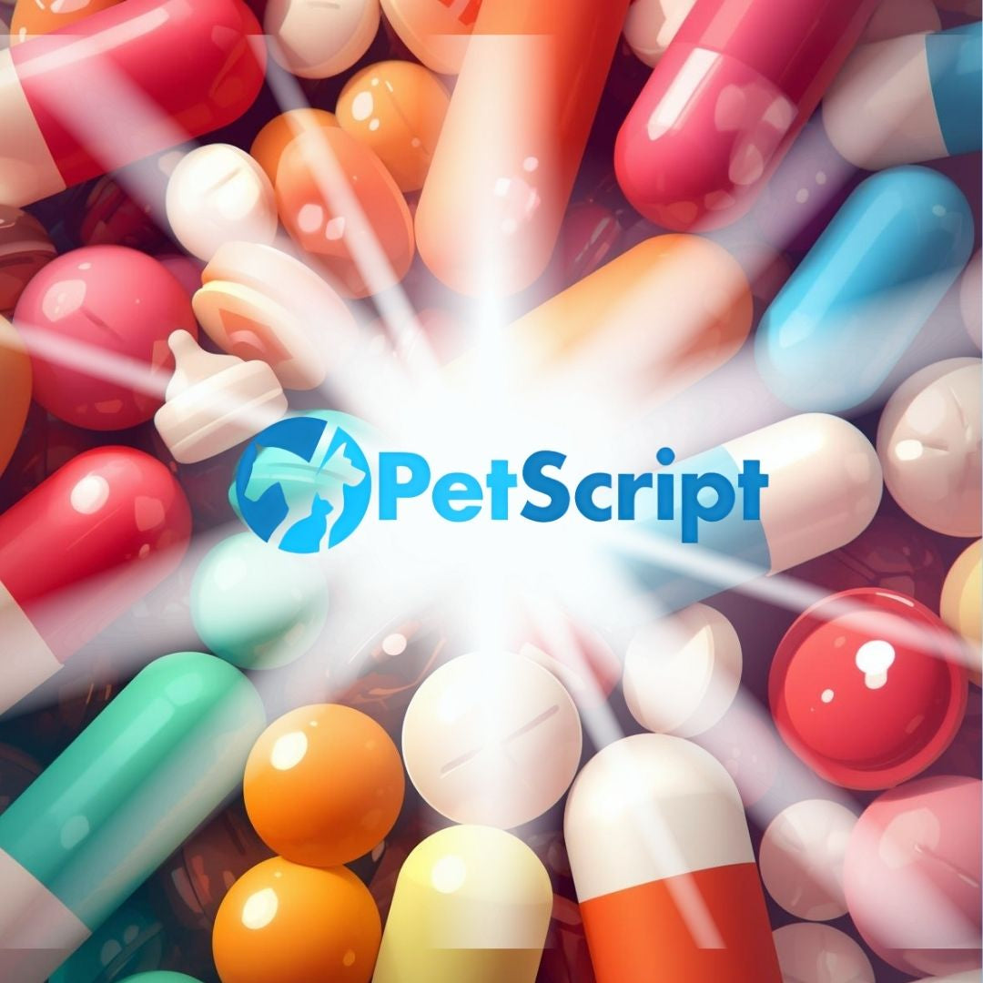 Petscribe Beyond the Basics – PetScript Direct
