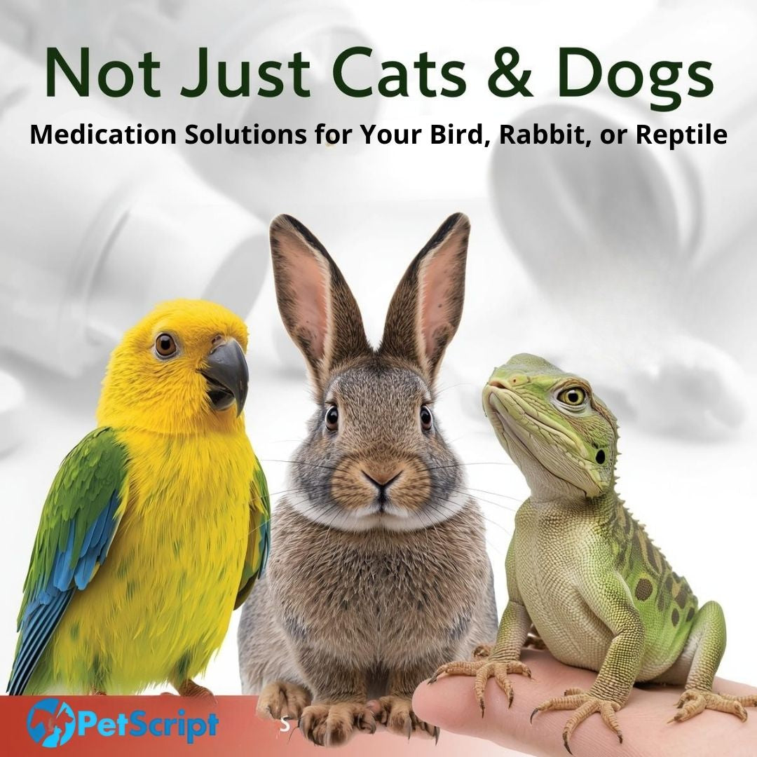 Not Just Cats & Dogs – PetScript Direct