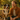 FDA Approves First Dual-Purpose Separation Anxiety Medication for Dogs - PetScript