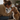 Tacrolimus for Dogs: A Gentle Solution for Dry Eye That Actually Works