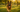 Acepromazine vs Trazodone for Dogs: Why Vets Are Making the Switch - PetScript
