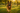 Acepromazine vs Trazodone for Dogs: Why Vets Are Making the Switch - PetScript