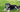 Elderly mixed breed dog relaxing on lush green grass in a sunny outdoor setting.